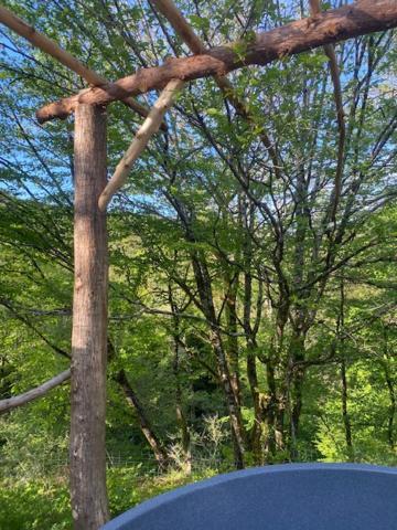 شقة Domaine De Bourbacoup تول المظهر الخارجي الصورة